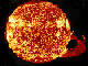 Sunspot data from Brussels